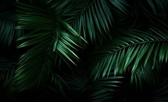 AI generated palm leaves on a dark background with palm leaves in the background, photo