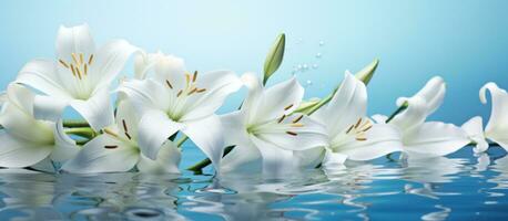AI generated lilies of white flowers and lily grass on a bright bluewhite background, photo