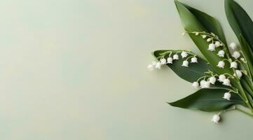 AI generated lily of the valley and olive branches on a clean, photo