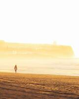 joven mujer silueta caminando solo en escénico playa en puesta de sol. bien siendo mujer concepto foto