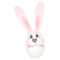 Little rabbit in egg shell isolated png