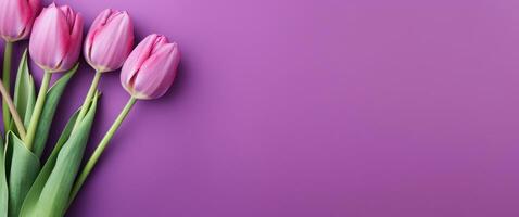 ai generado hermosa púrpura tulipanes en un púrpura fondo, foto