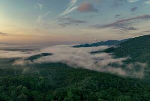 Fog covered green mountain landscape with morning sunrise sky. Aerial view of dark green trees in tropical mountain forests and fog in winter. Nature scene of trees. Green environment background. photo