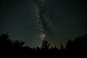 lechoso camino galaxia terminado el bosque. estrellado noche antecedentes. foto