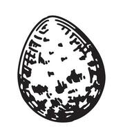 salvaje pájaro huevo contorno clipart. primavera hora garabatear. vector ilustración en grabado estilo aislado en blanco.