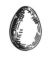 Wild bird egg outline clipart. Spring time doodle. Vector illustration in engraving style isolated on white.