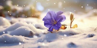 AI generated a snow scene with a purple flower is covered in snow, photo