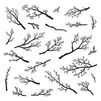 Set of hand drawn twigs and branches. vector