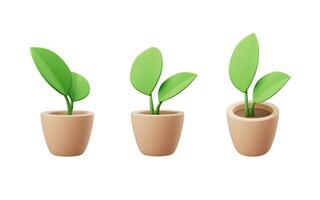 Cartoon style potted plant, 3d rendering. photo