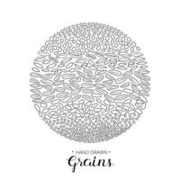 Hand drawn grains in circle. vector