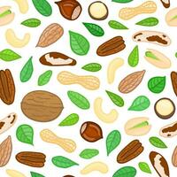 Seamless pattern with nuts. vector