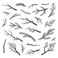 Set of hand drawn twigs and branches. vector