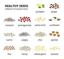 Set of healthy seeds. vector