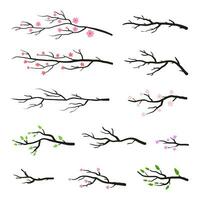 Collection of tree twigs and branches. vector