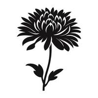 An Aster Flower Silhouette Vector isolated on a white background