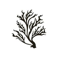 A Seaweed vector silhouette isolated on a white background, A silhouette of a Sea coral Vector