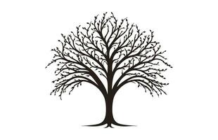 Dead rush Tree Vector Silhouette isolated on a white background, Forest Tree without leaves vector