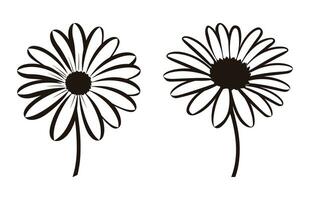 Daisy Flower Silhouette Vector set, Daisy Flowers Clipart Bundle