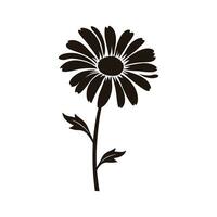 Daisy Flower Silhouette Vector isolated on a white background