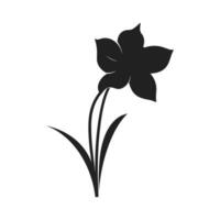 A Daffodil Flower Silhouette Vector isolated on a white background