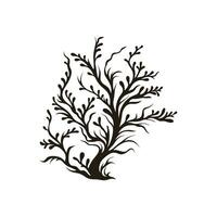 A Seaweed vector silhouette isolated on a white background, A silhouette of a Sea coral Vector