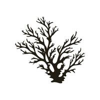 A Seaweed vector silhouette isolated on a white background, A silhouette of a Sea coral Vector