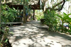 Old wooden walkway in the garden photo