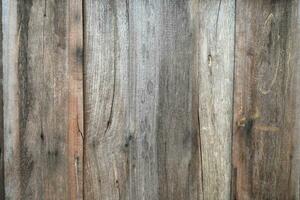 The background is an old wooden floor with patterns from age and decay. photo