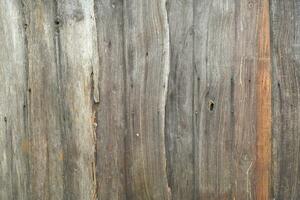 The background is an old wooden floor with patterns from age and decay. photo