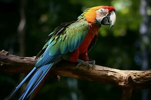 ai generado maravilloso guacamayo exhibiendo sus vibrante y vistoso plumaje ai generado foto