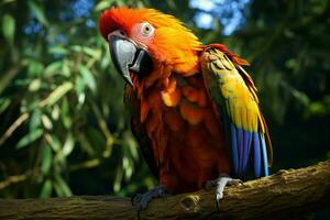 ai generado maravilloso guacamayo exhibiendo sus vibrante y vistoso plumaje ai generado foto