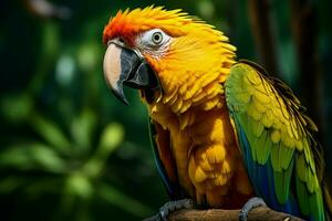 AI generated stunning macaw showcasing its vibrant and colorful plumage AI Generated photo