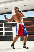 Boxer en azul guantes calentamiento arriba en el gimnasio foto