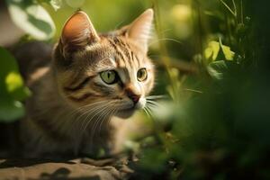 ai generado gato en naturaleza en verano bosque antecedentes. de cerca animal retrato. ai generado foto