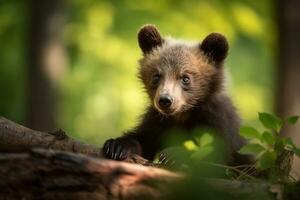 ai generado oso cachorro en naturaleza en verano bosque antecedentes. de cerca animal retrato. ai generado foto