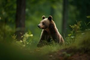 ai generado oso cachorro en naturaleza en verano bosque antecedentes. ai generado foto