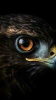 AI generated Closeup hawk eye, portrait of animal on dark background. Ai generated photo