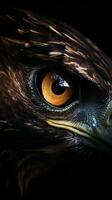 ai generado de cerca águila ojo, retrato de animal en oscuro antecedentes. ai generado foto
