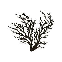 A Seaweed vector silhouette isolated on a white background, A silhouette of a Sea coral Vector