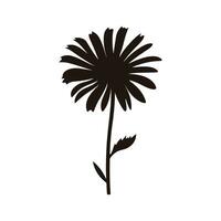 Daisy Flower Silhouette Vector isolated on a white background