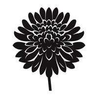 An Aster Flower Silhouette Vector isolated on a white background
