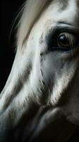 AI generated Closeup white horse eye, portrait of animal on dark background. Ai generated photo