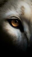 AI generated Closeup white lion eye, portrait of animal on dark background. Ai generated photo