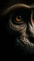 AI generated Closeup monkey eye, portrait of animal on dark background. Ai generated photo