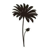 Daisy Flower Silhouette Vector isolated on a white background