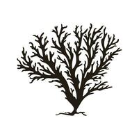 A Seaweed vector silhouette isolated on a white background, A silhouette of a Sea coral Vector