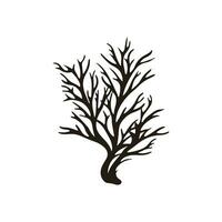 A Seaweed vector silhouette isolated on a white background, A silhouette of a Sea coral Vector