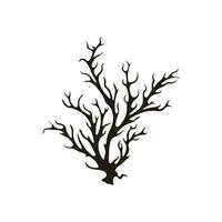 A Seaweed vector silhouette isolated on a white background, A silhouette of a Sea coral Vector