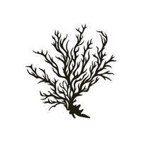 A Seaweed vector silhouette isolated on a white background, A silhouette of a Sea coral Vector