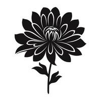 An Aster Flower Silhouette Vector isolated on a white background